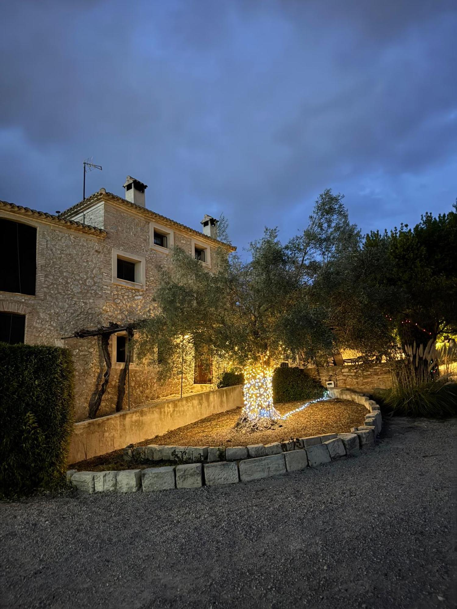 Apartamentos Rurales La Alqueria Del Pilar Баньерес-де-Мариола Экстерьер фото